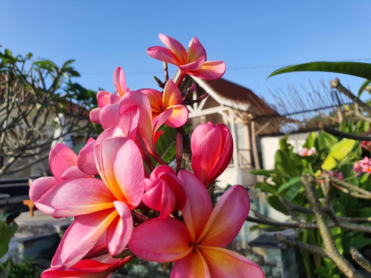 De Jantux Villa Uluwatu Eksteriør billede